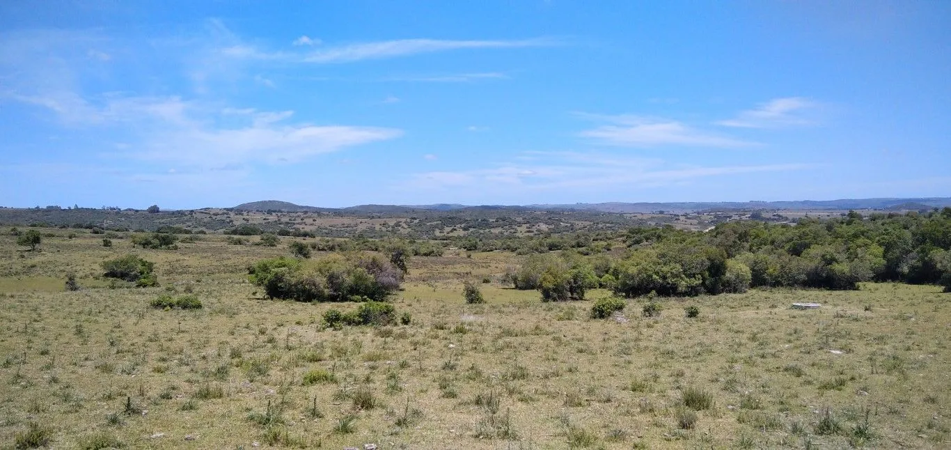 Campo ganadero, criador, Aigua — foto 7