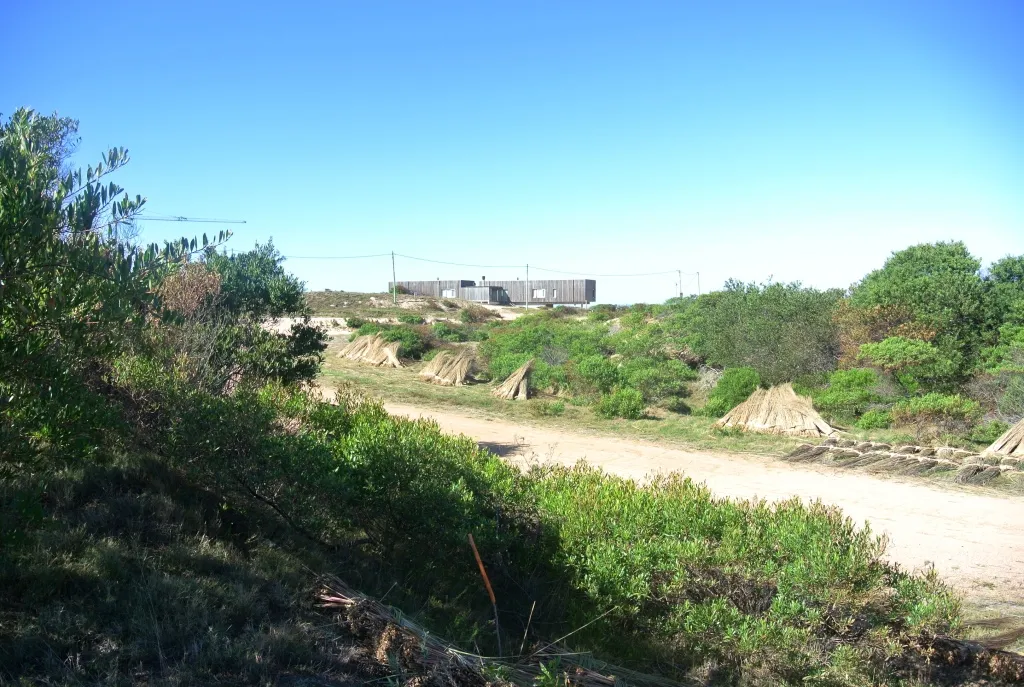 Venta lotes Chihuahua a pasos del mar- Punta Ballena — foto 1