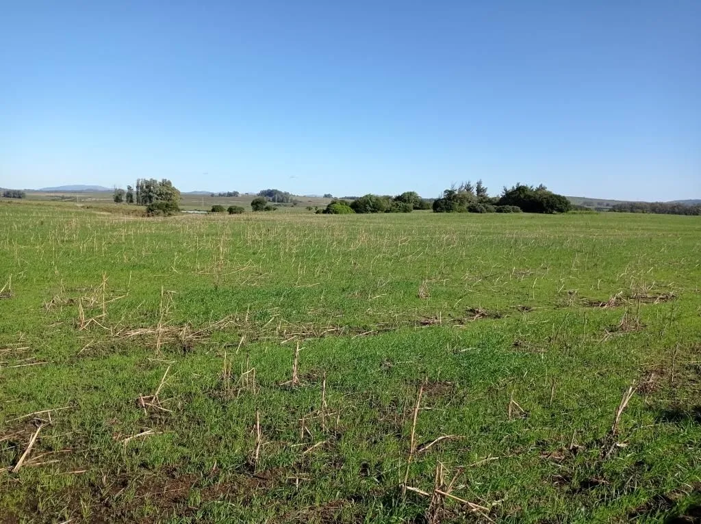 Chacra / Campo 37 ha en Maldonado — foto 9