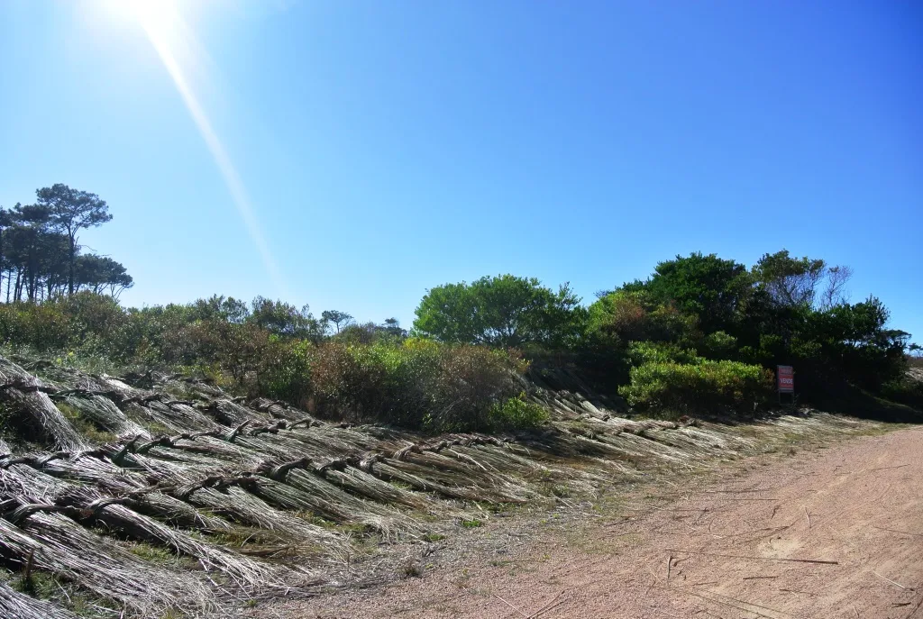 Venta lotes Chihuahua a pasos del mar- Punta Ballena — foto 2