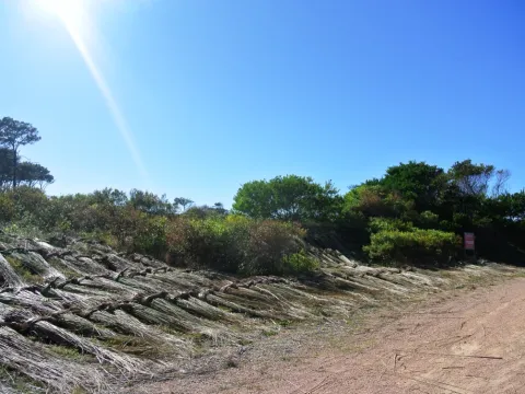 Venta lotes Chihuahua a pasos del mar- Punta Ballena — foto 2