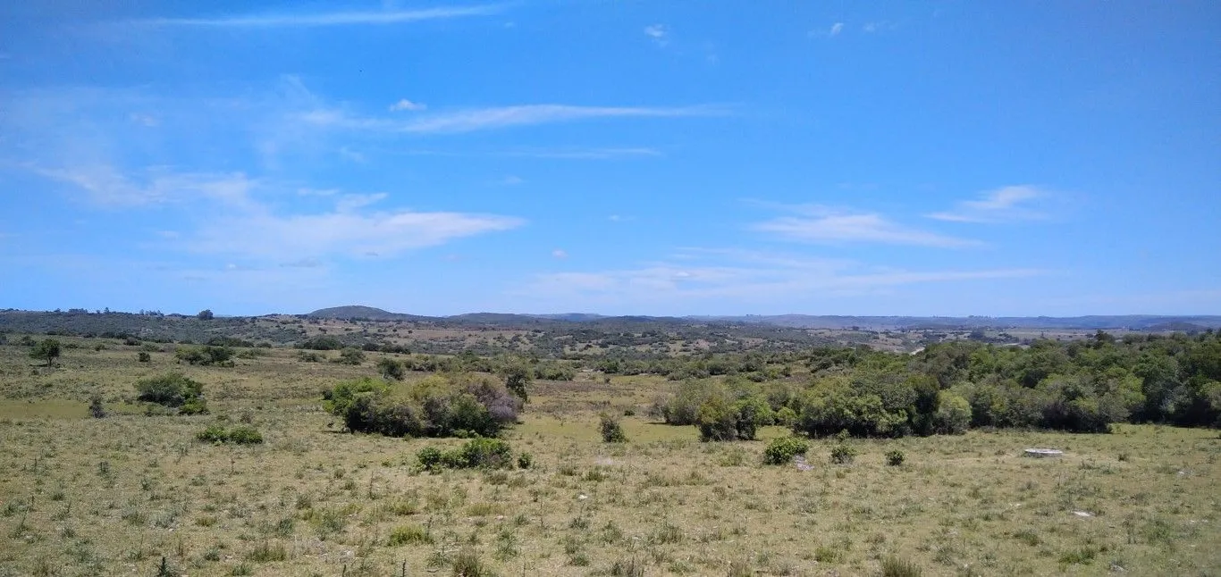 Campo ganadero, criador, Aigua — foto 8