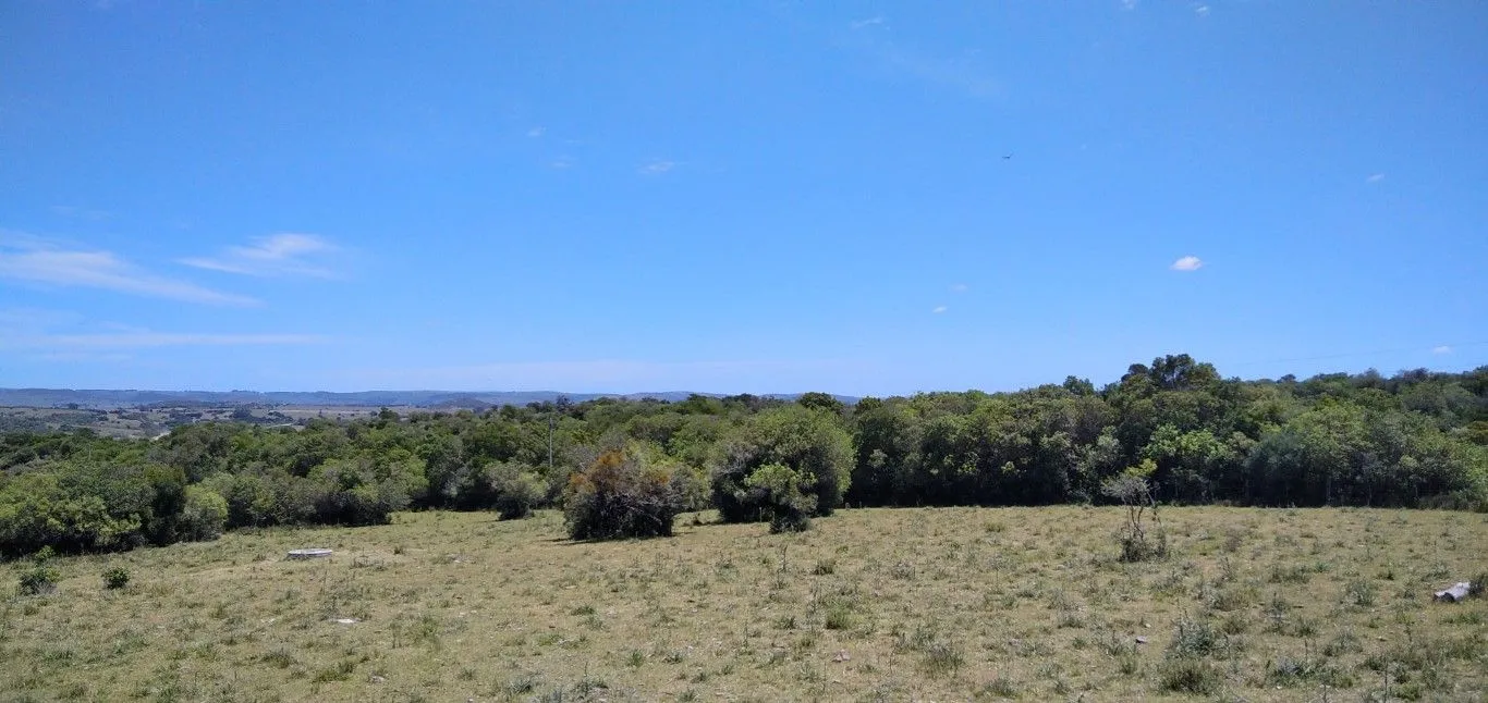 Campo ganadero, criador, Aigua — foto 9