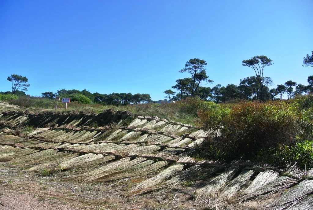 Venta lotes Chihuahua a pasos del mar- Punta Ballena — foto 3