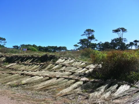 Venta lotes Chihuahua a pasos del mar- Punta Ballena — foto 3