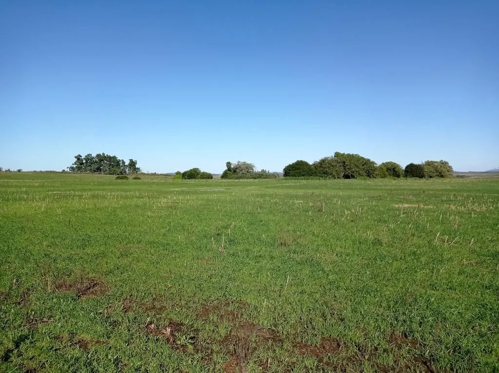 Chacra / Campo 37 ha en Maldonado — foto 11