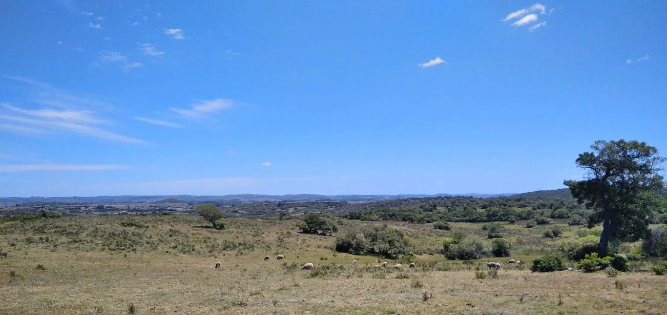 Campo ganadero, criador, Aigua — foto 10