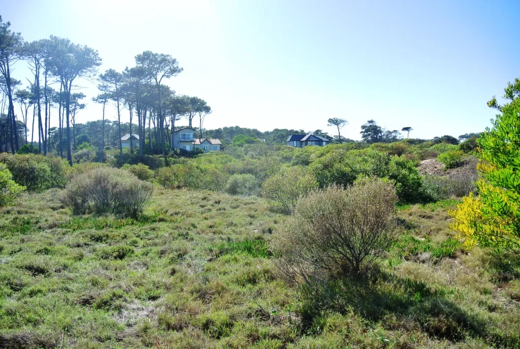 Venta lotes Chihuahua a pasos del mar- Punta Ballena — foto 4