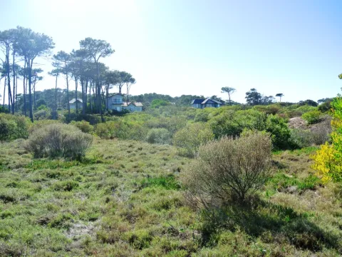 Venta lotes Chihuahua a pasos del mar- Punta Ballena — foto 4