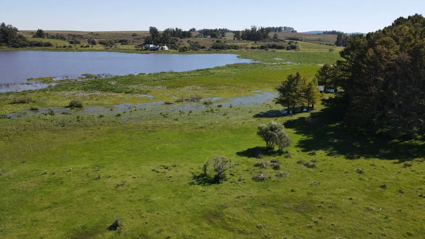 Chacra / Campo 37 ha en Maldonado — foto 12