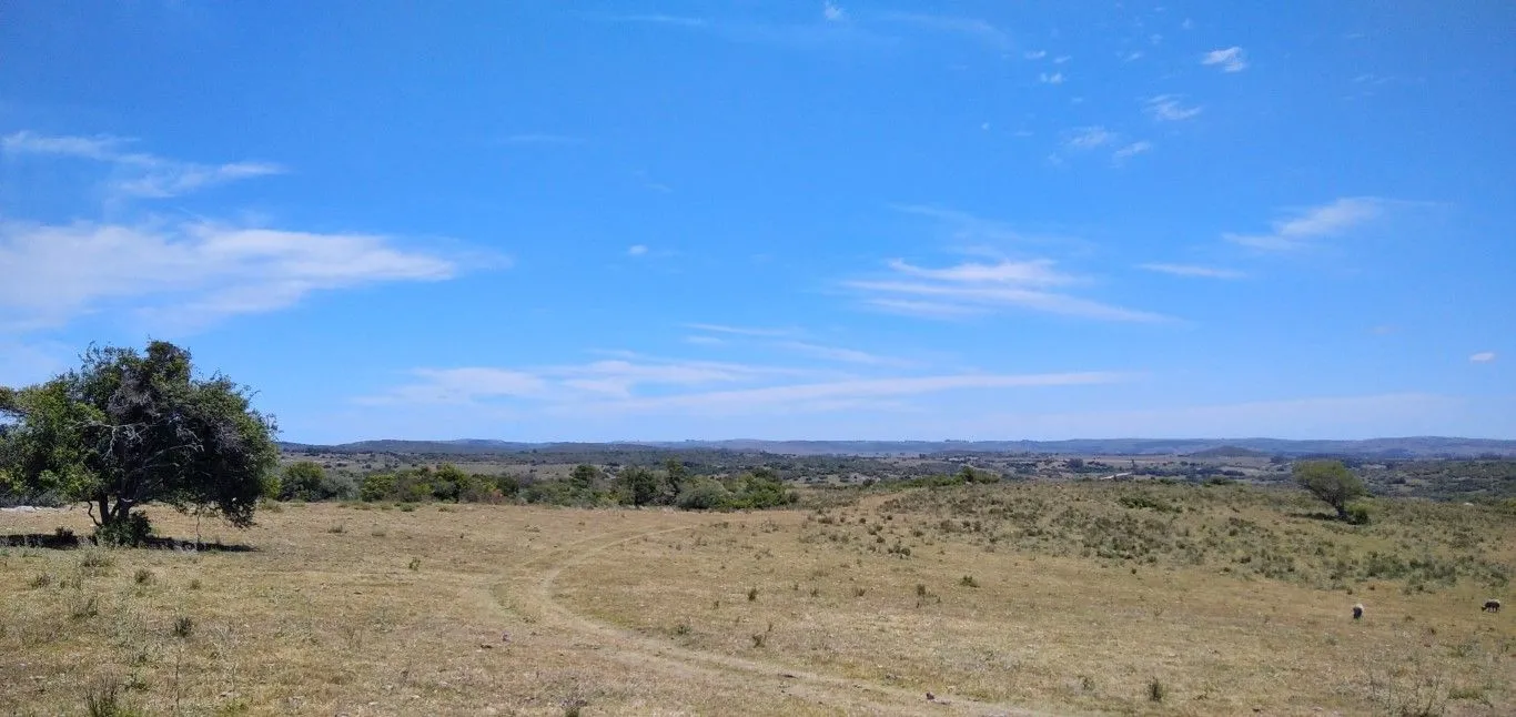 Campo ganadero, criador, Aigua — foto 11