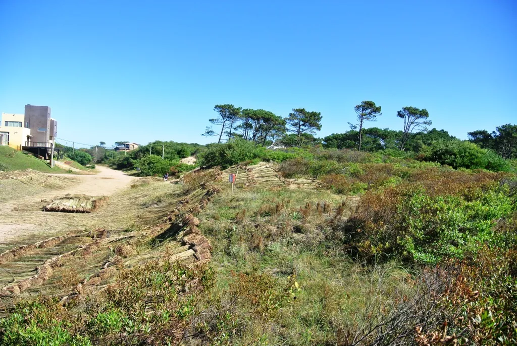 Venta lotes Chihuahua a pasos del mar- Punta Ballena — foto 5
