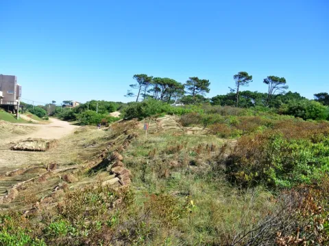 Venta lotes Chihuahua a pasos del mar- Punta Ballena — foto 5