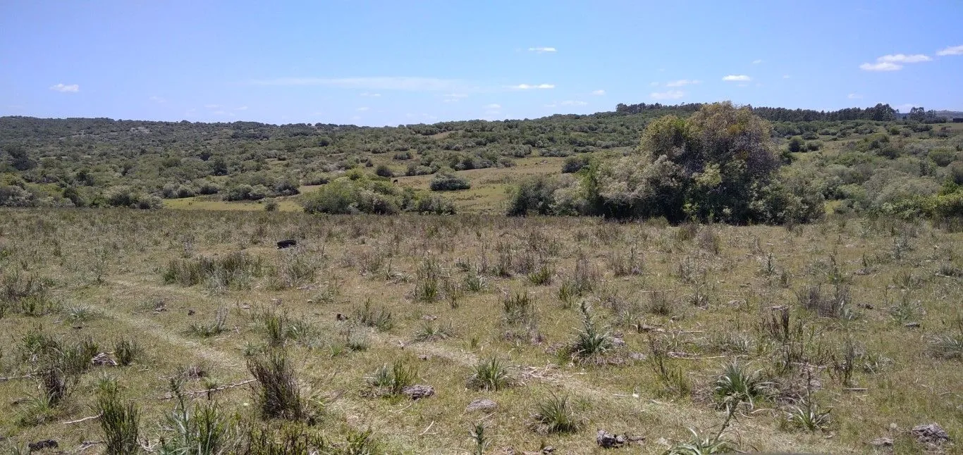 Campo ganadero, criador, Aigua — foto 12