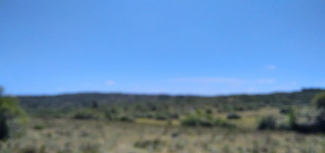 Campo ganadero, criador, Aigua — foto 13