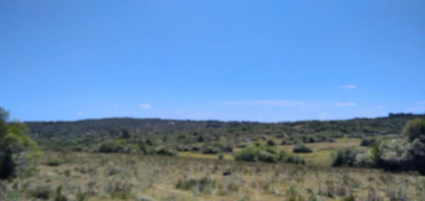 Campo ganadero, criador, Aigua — foto 14