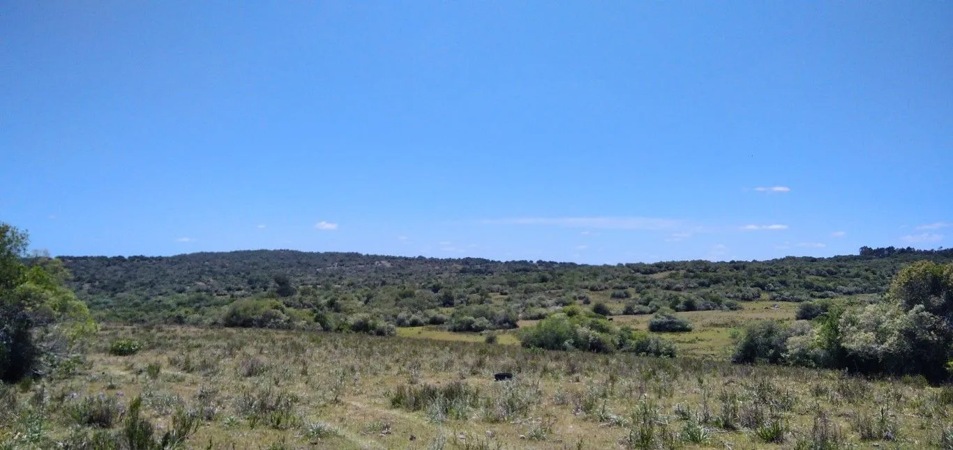 Campo ganadero, criador, Aigua — foto 15