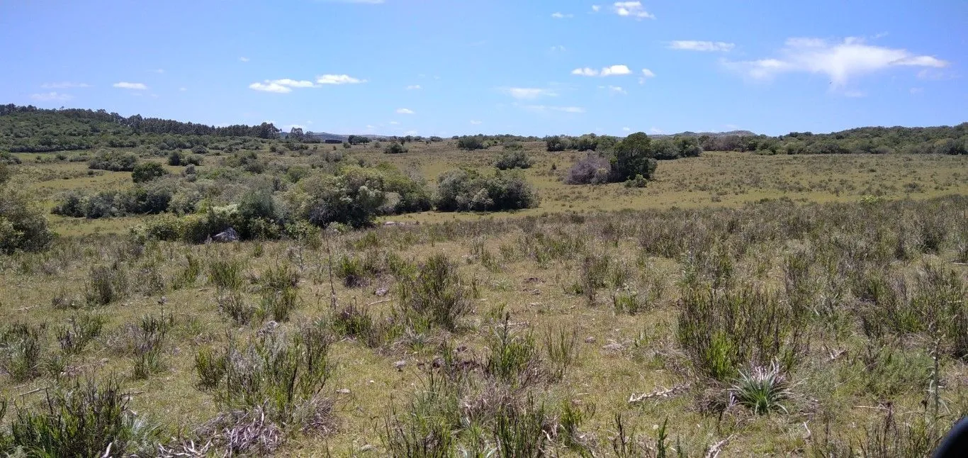 Campo ganadero, criador, Aigua — foto 16