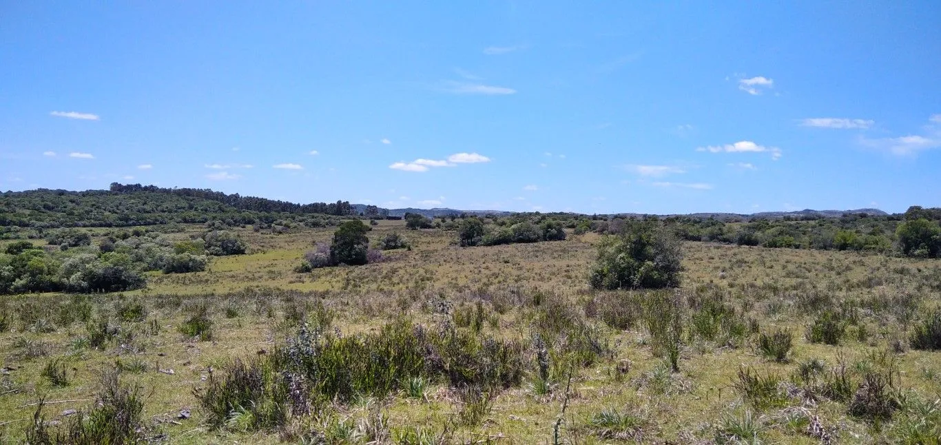 Campo ganadero, criador, Aigua — foto 17