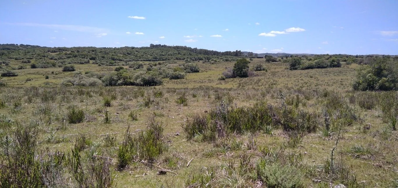 Campo ganadero, criador, Aigua — foto 18