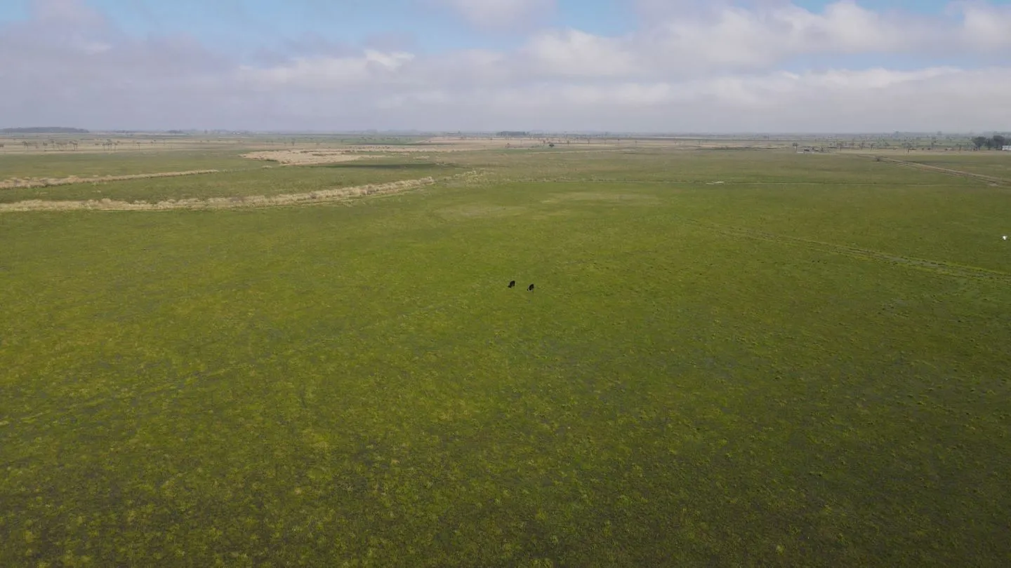 CAMPO AGRÍCOLA GANADERO — foto 1
