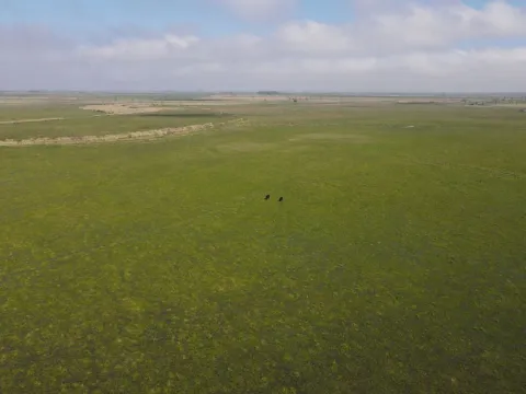 CAMPO AGRÍCOLA GANADERO