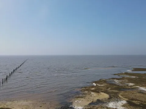 CAMPO AGRÍCOLA GANADERO — foto 2