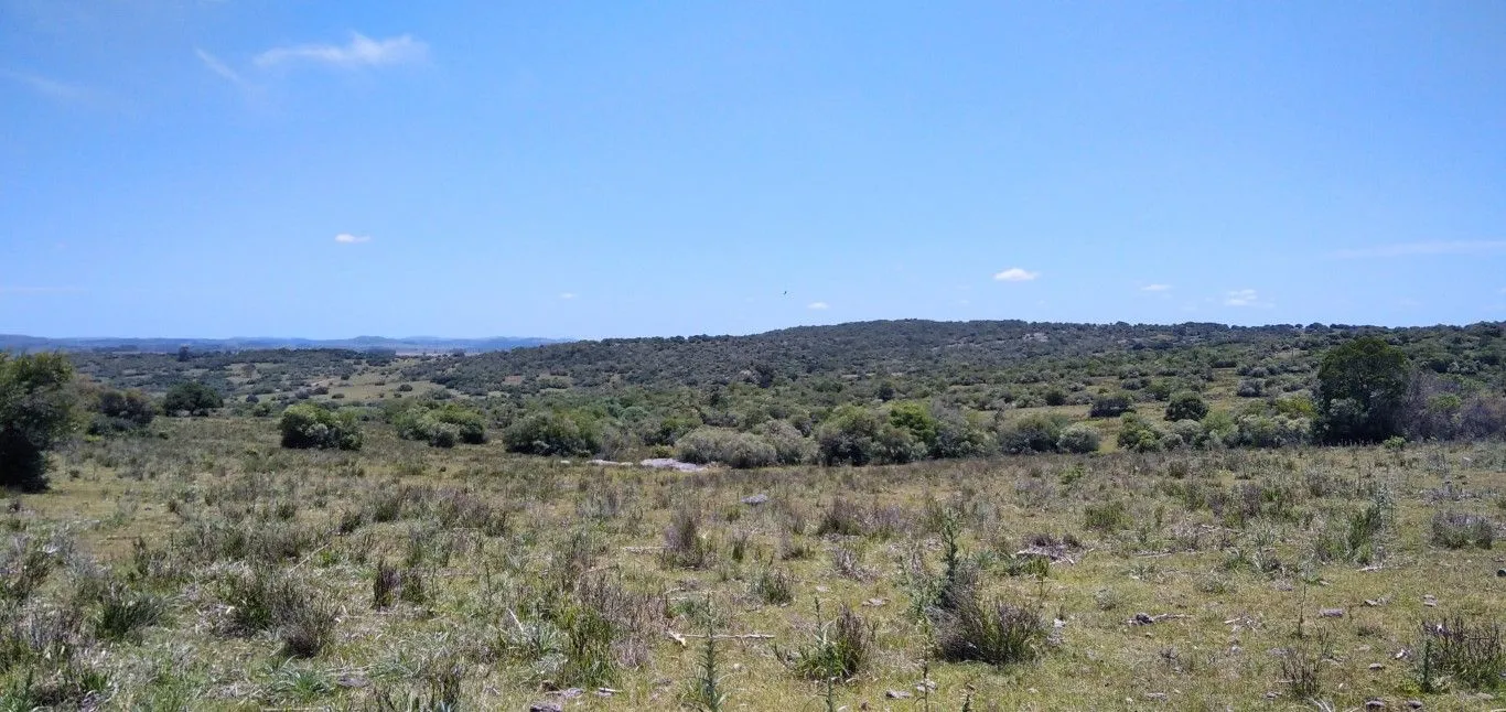 Campo ganadero, criador, Aigua — foto 20