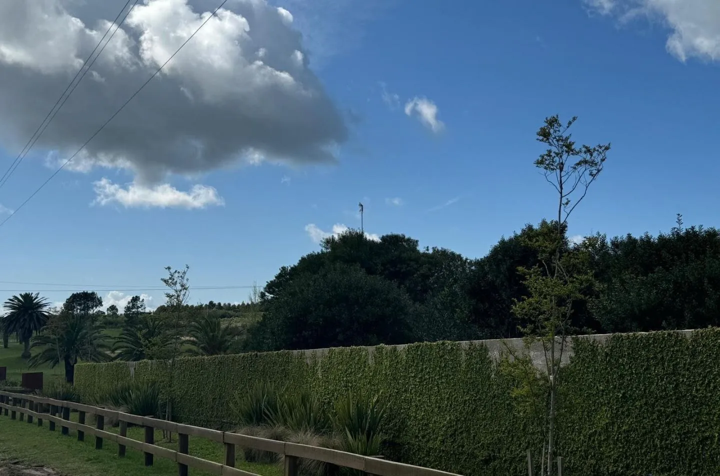 VENTA DE CHACRA 5 HAS MB UBICACION EN ZONA GOLF DE LA BARRA — foto 8