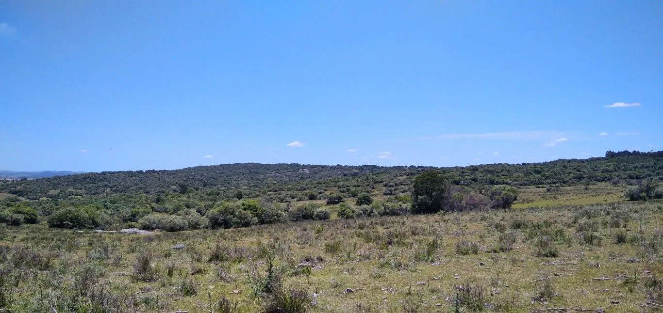 Campo ganadero, criador, Aigua — foto 22