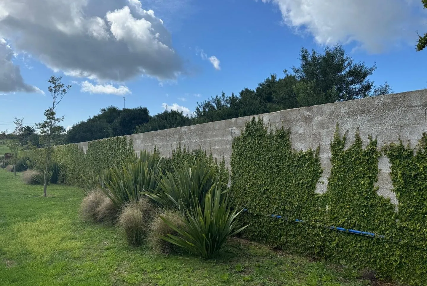 VENTA DE CHACRA 5 HAS MB UBICACION EN ZONA GOLF DE LA BARRA — foto 9