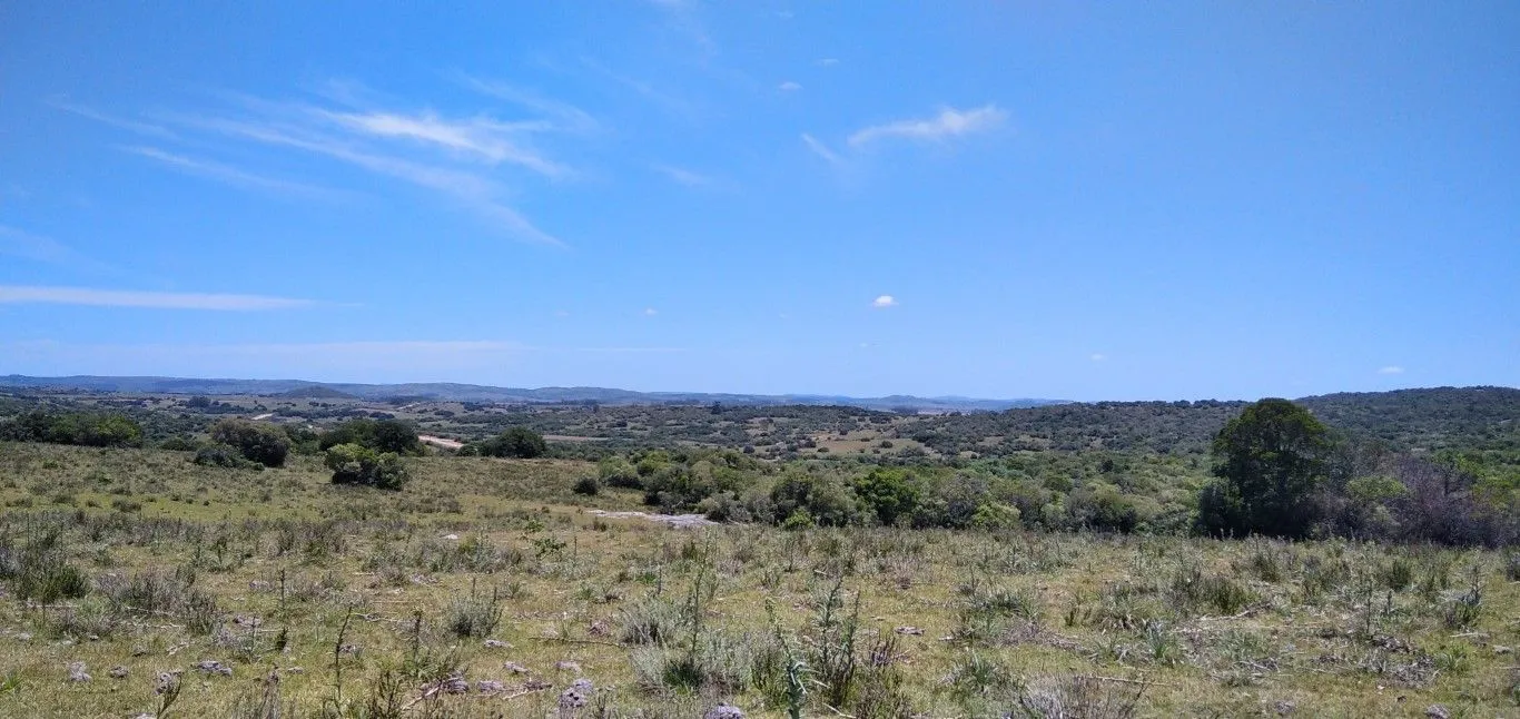Campo ganadero, criador, Aigua — foto 23