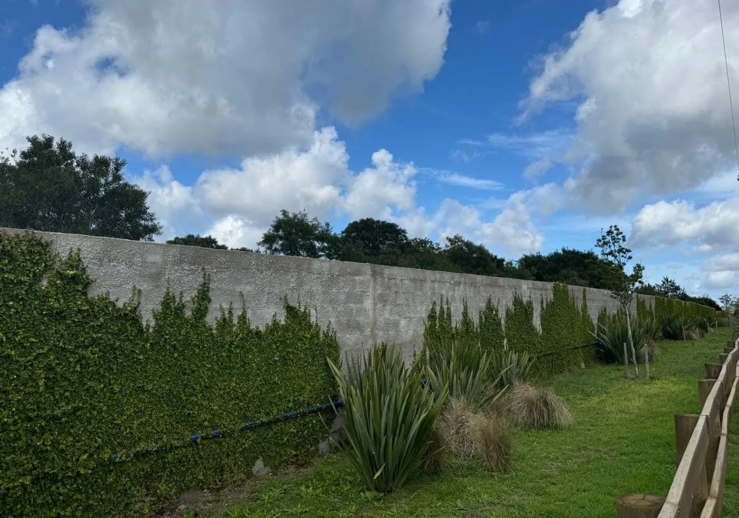 VENTA DE CHACRA 5 HAS MB UBICACION EN ZONA GOLF DE LA BARRA — foto 10
