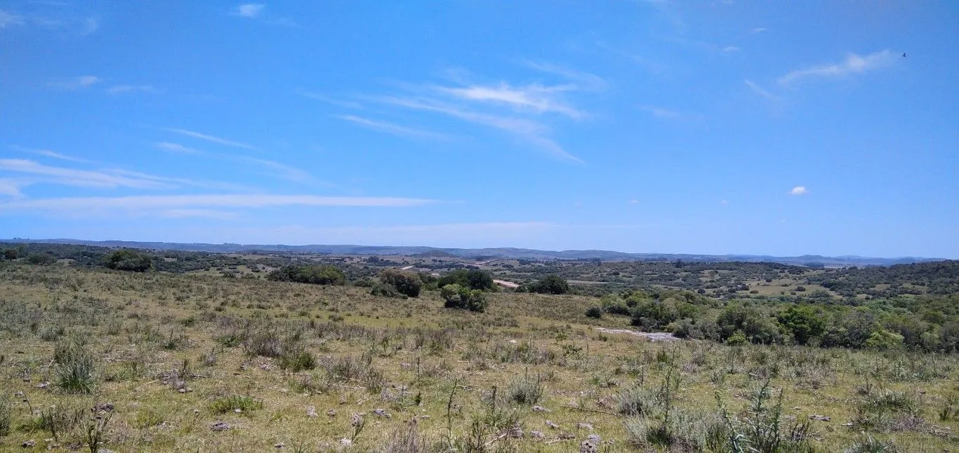 Campo ganadero, criador, Aigua — foto 24