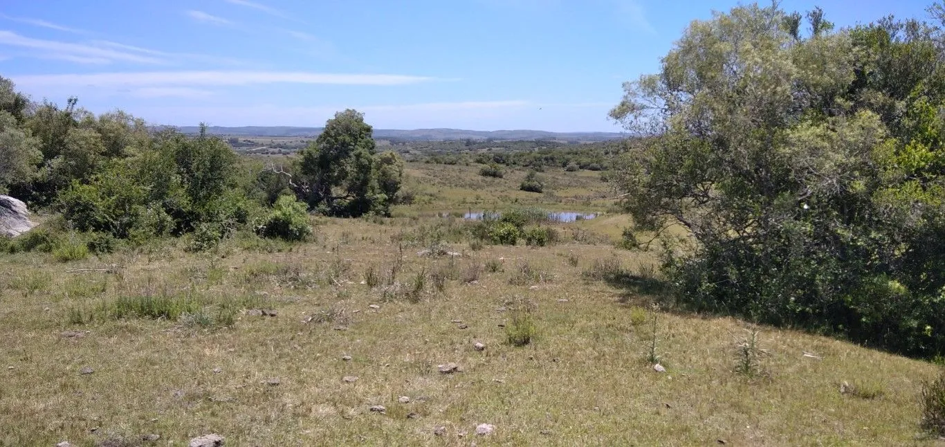 Campo ganadero, criador, Aigua — foto 25
