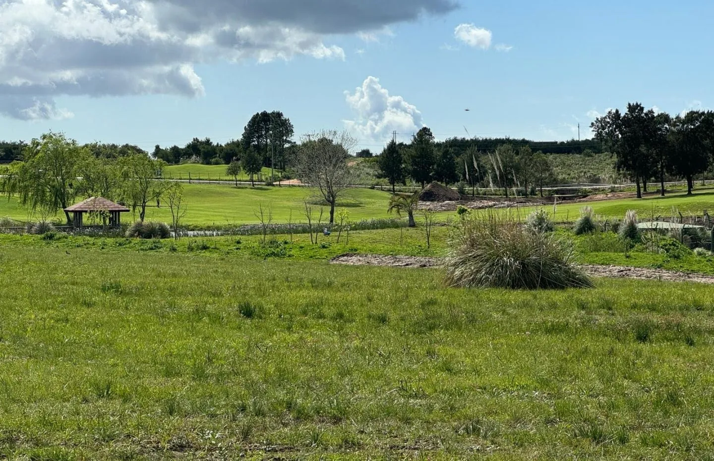 VENTA DE CHACRA 5 HAS MB UBICACION EN ZONA GOLF DE LA BARRA — foto 12