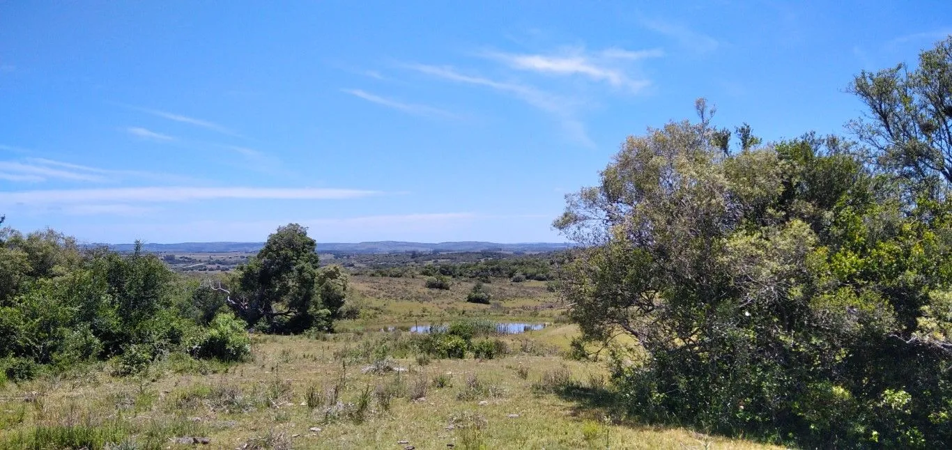 Campo ganadero, criador, Aigua — foto 26