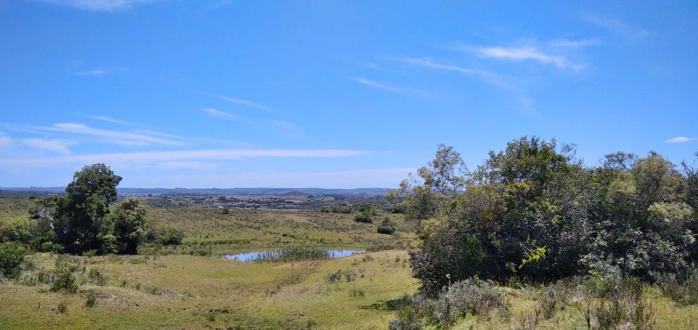 Campo ganadero, criador, Aigua — foto 27