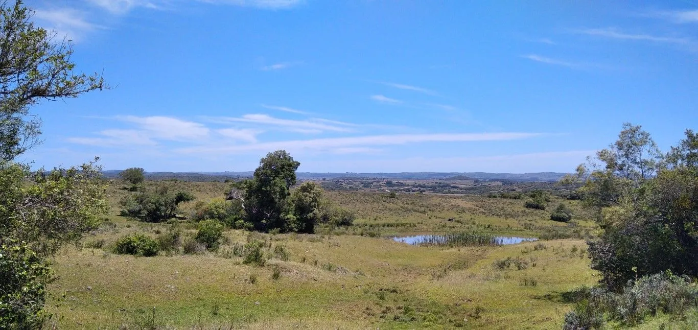 Campo ganadero, criador, Aigua — foto 28