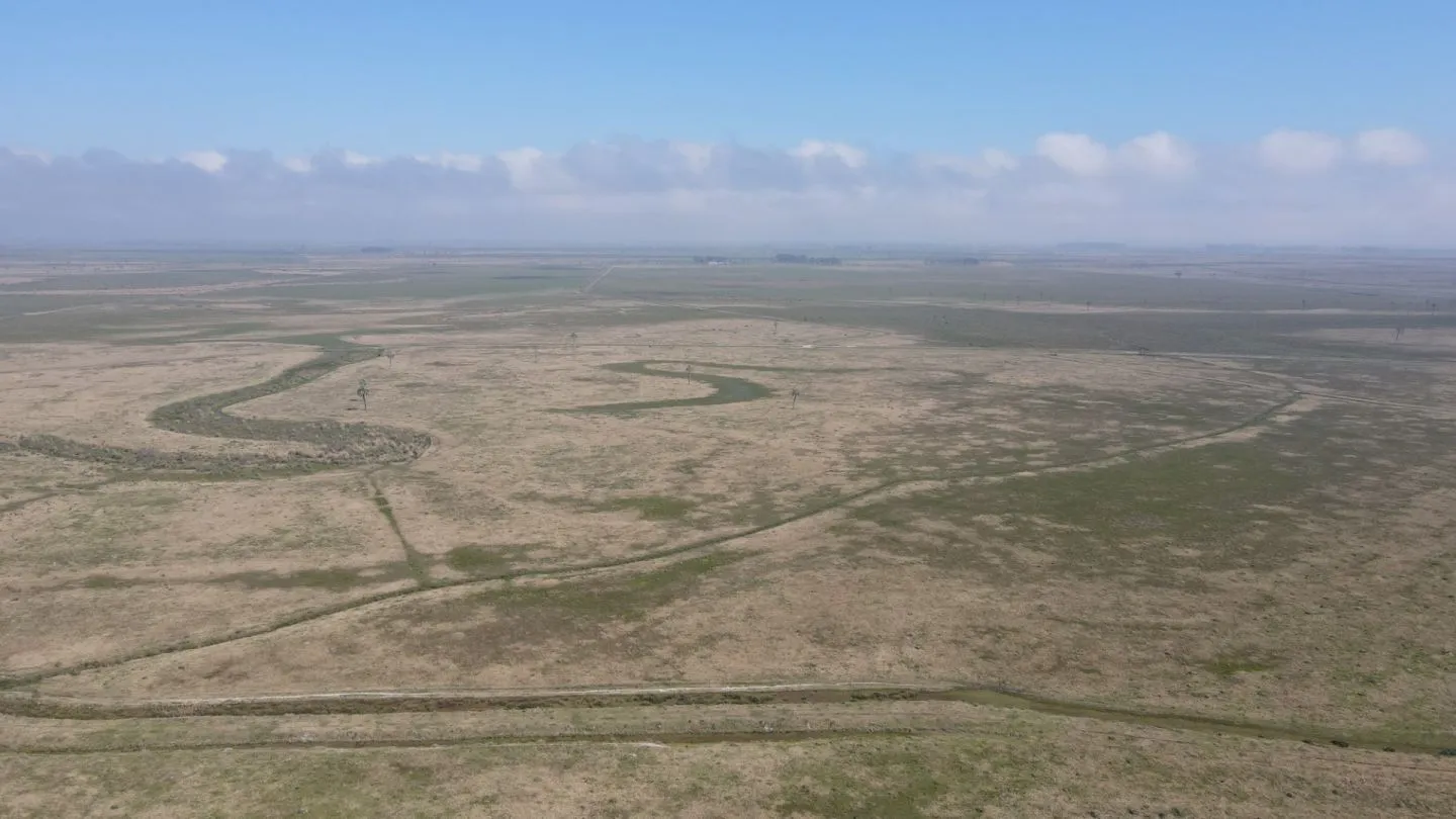 CAMPO AGRÍCOLA GANADERO — foto 12