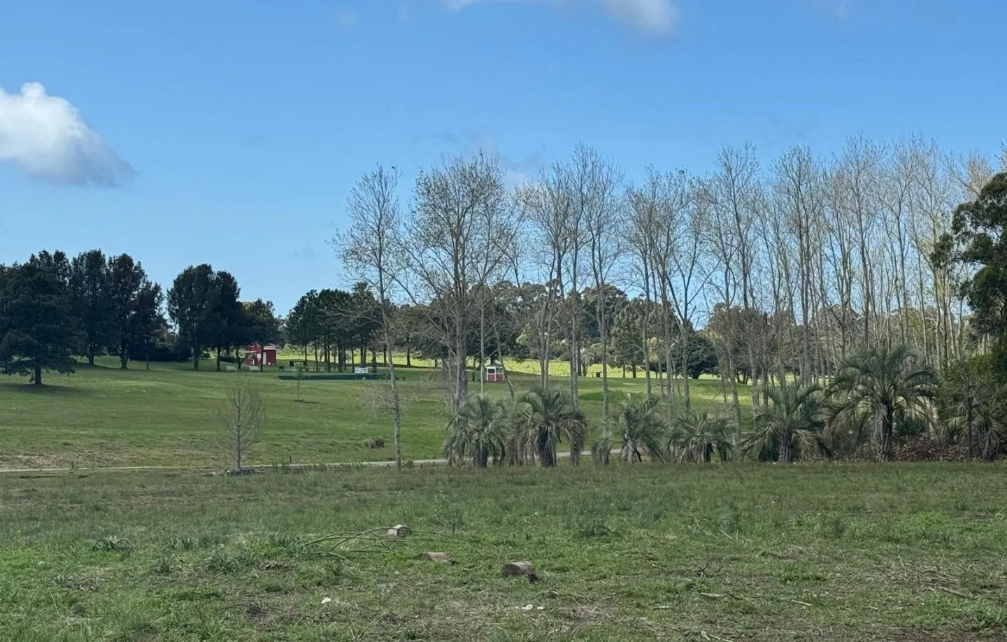 VENTA DE CHACRA 5 HAS MB UBICACION EN ZONA GOLF DE LA BARRA — foto 15