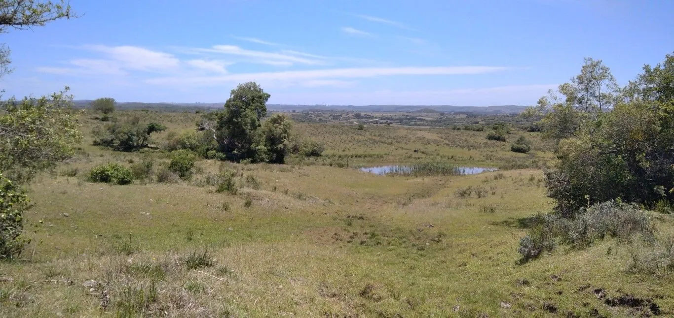 Campo ganadero, criador, Aigua — foto 29