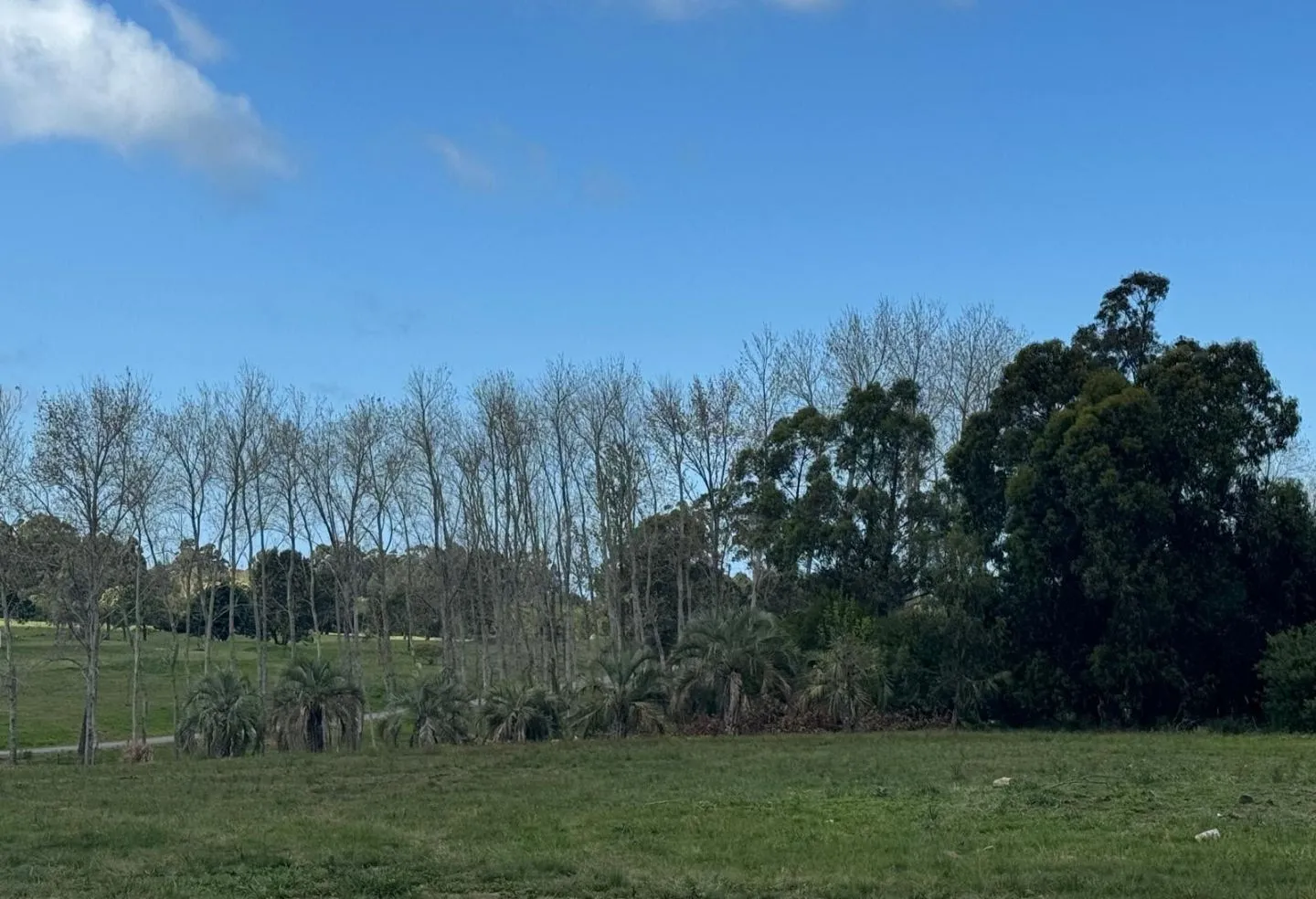 VENTA DE CHACRA 5 HAS MB UBICACION EN ZONA GOLF DE LA BARRA — foto 16