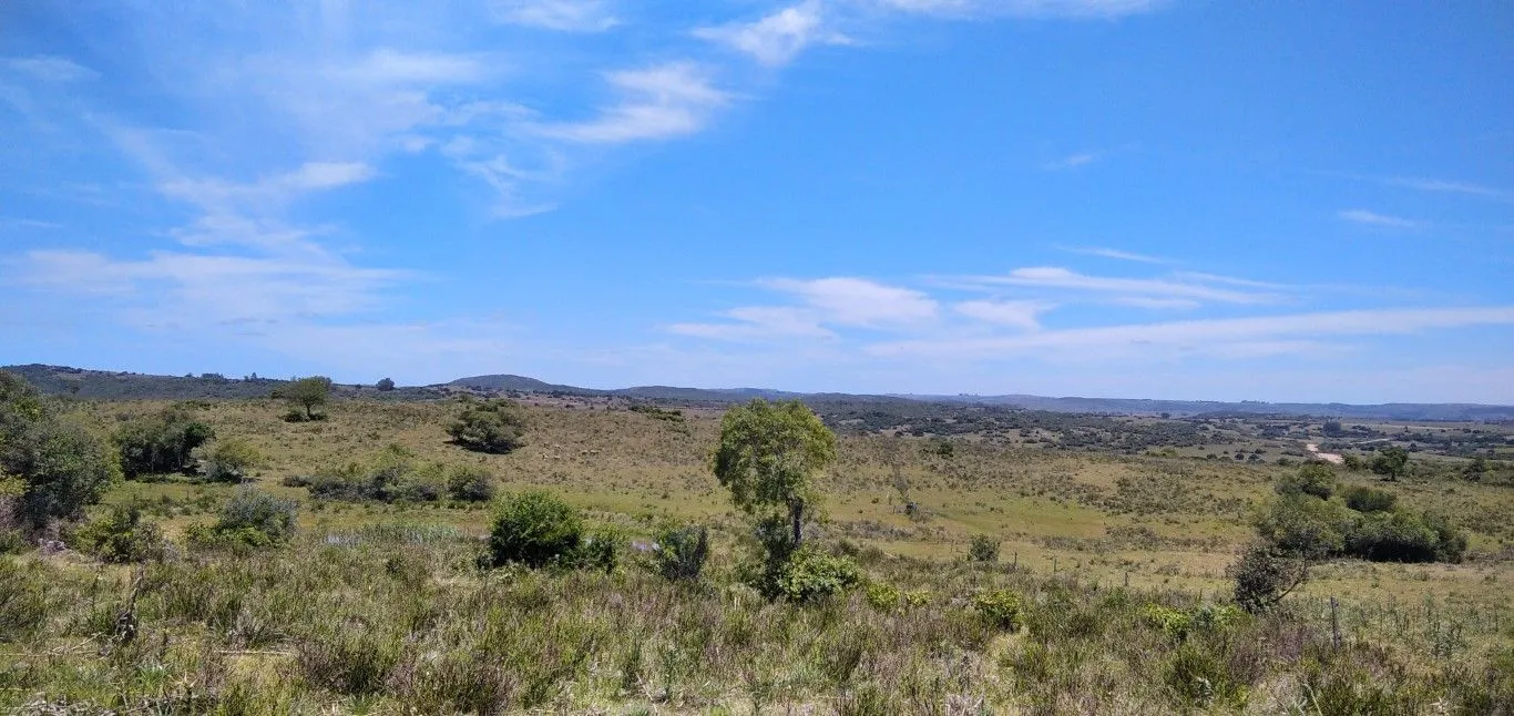 Campo ganadero, criador, Aigua — foto 30
