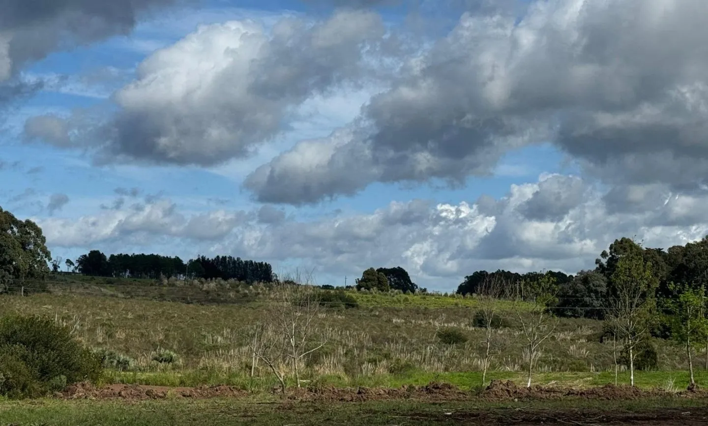 VENTA DE CHACRA 5 HAS MB UBICACION EN ZONA GOLF DE LA BARRA — foto 17