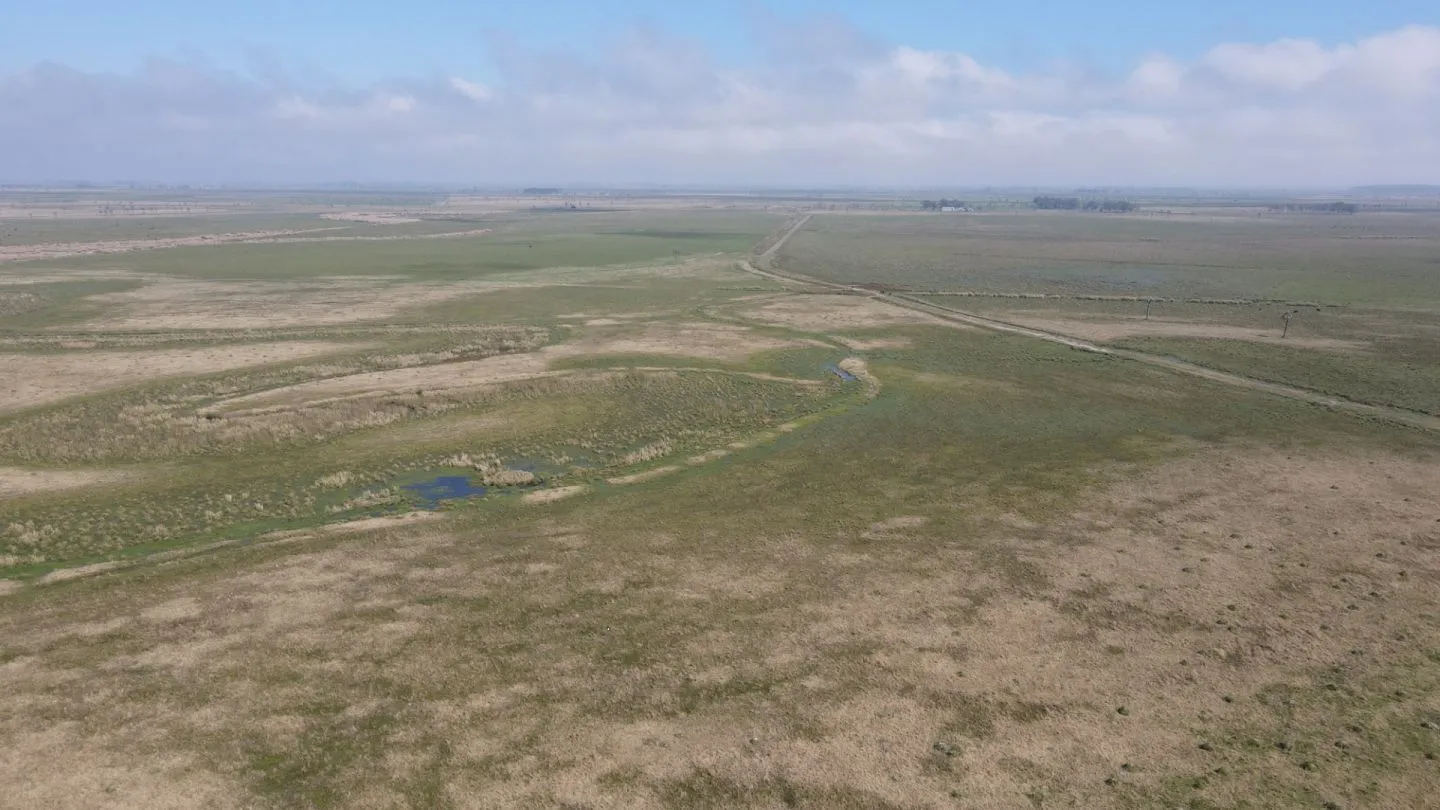 CAMPO AGRÍCOLA GANADERO — foto 15