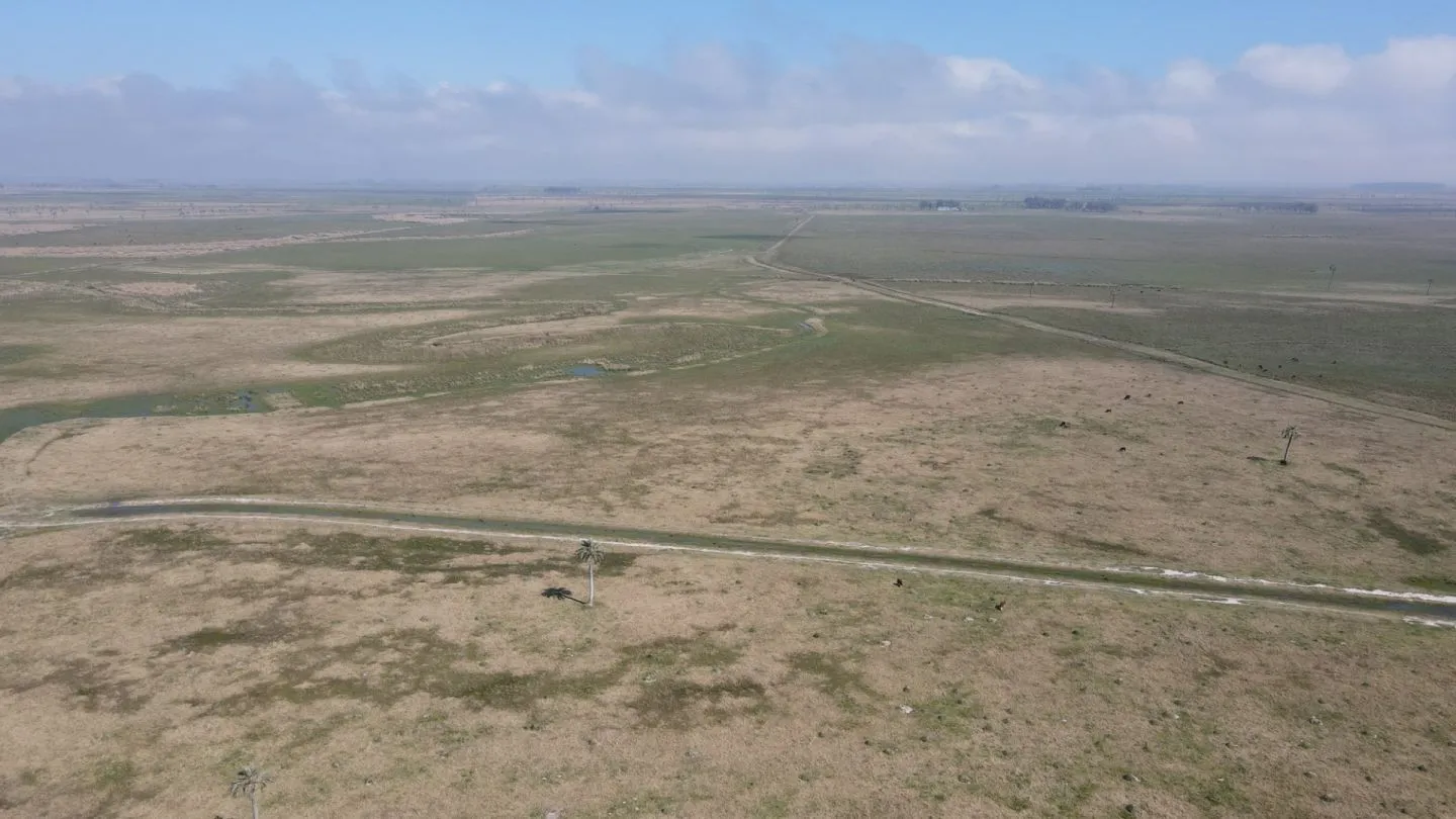 CAMPO AGRÍCOLA GANADERO — foto 17