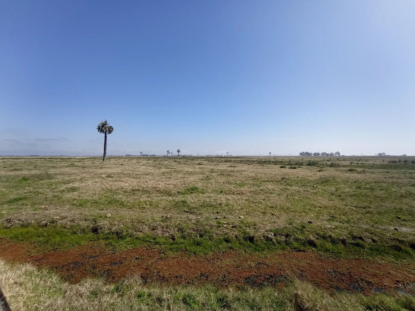 CAMPO AGRÍCOLA GANADERO — foto 18