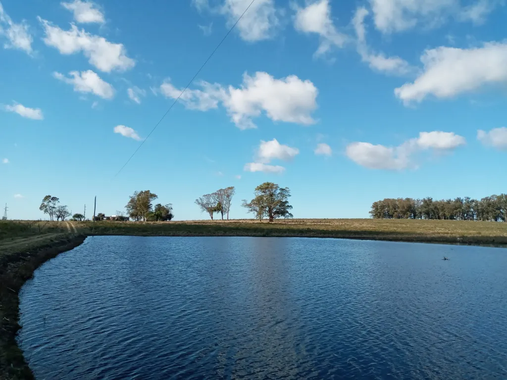VENTA FRACCION RURAL 52 HECTAREAS EN RINCON DE JOSE IGNACIO — foto 1