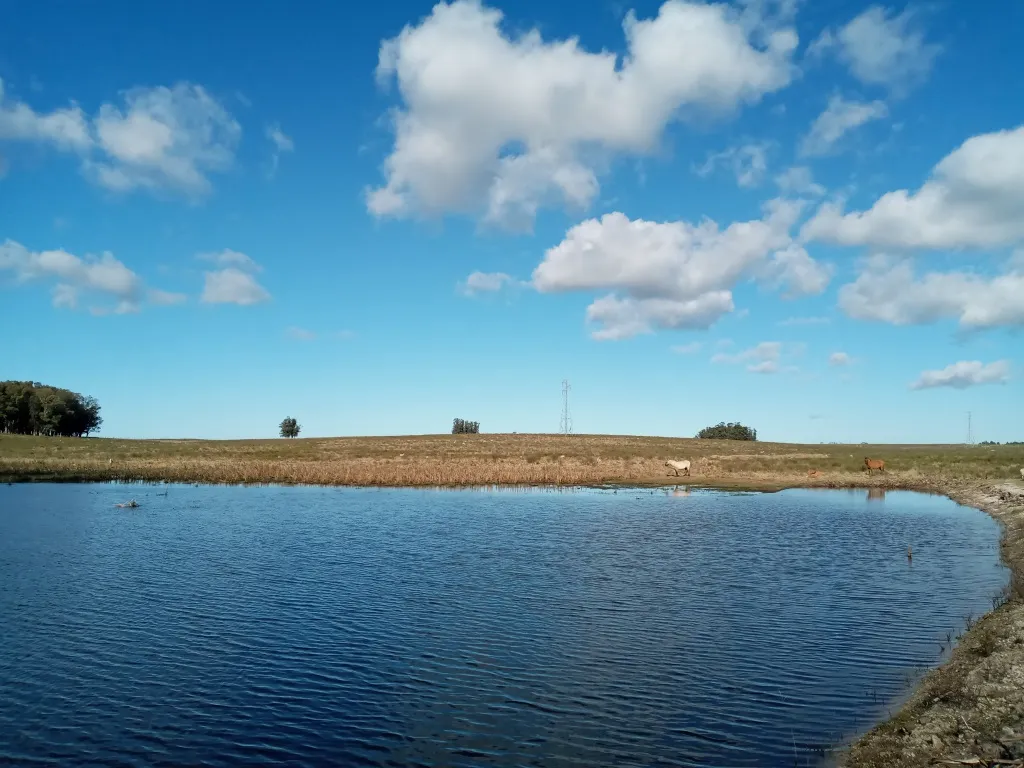 VENTA FRACCION RURAL 52 HECTAREAS EN RINCON DE JOSE IGNACIO — foto 2